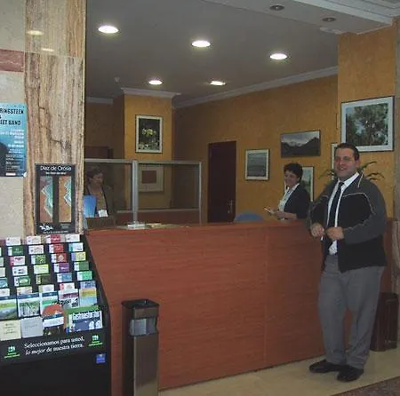 Acebos Azabache Gijón